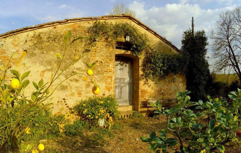Bassetto Guesthouse & Apartments Certaldo Exterior photo